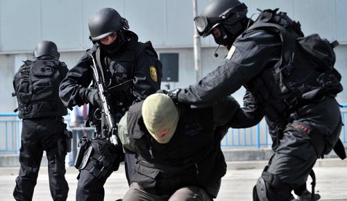 Operatiune de amploare cu Europol si Secret Service la sud de Dunare