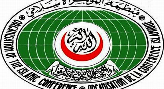 Iranul nu e de acord cu suspendarea Siriei din Organizatia de Cooperare Islamica