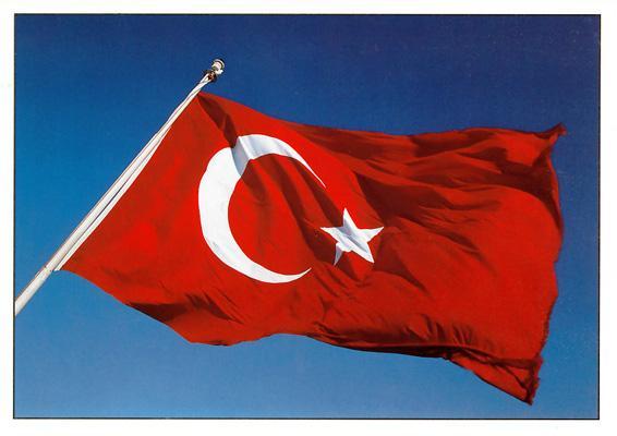 Comunitatea turcica se institutionalizeaza