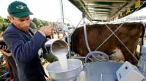 Rusia declanseaza „razboiul laptelui” impotriva Lituaniei