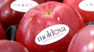 Chisinaul condamna noul embargo al Rusiei impus exporturilor de fructe