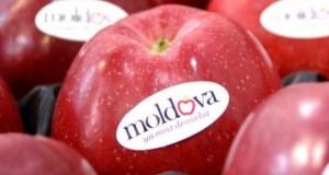 Rusia ridica partial embargo-ul la mere pentru Republica Moldova