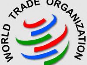 Chisinaul va avea cinci centru de notificare ale OMC