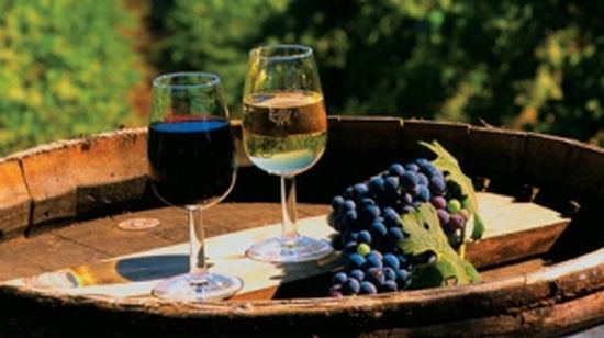 R. Moldova va avea brand national pentru vinuri