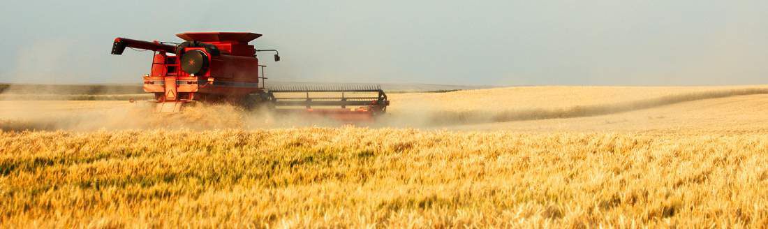 Ucraina strânge relațiile de export cu UE pe zona cerealelor, în creștere cu o treime