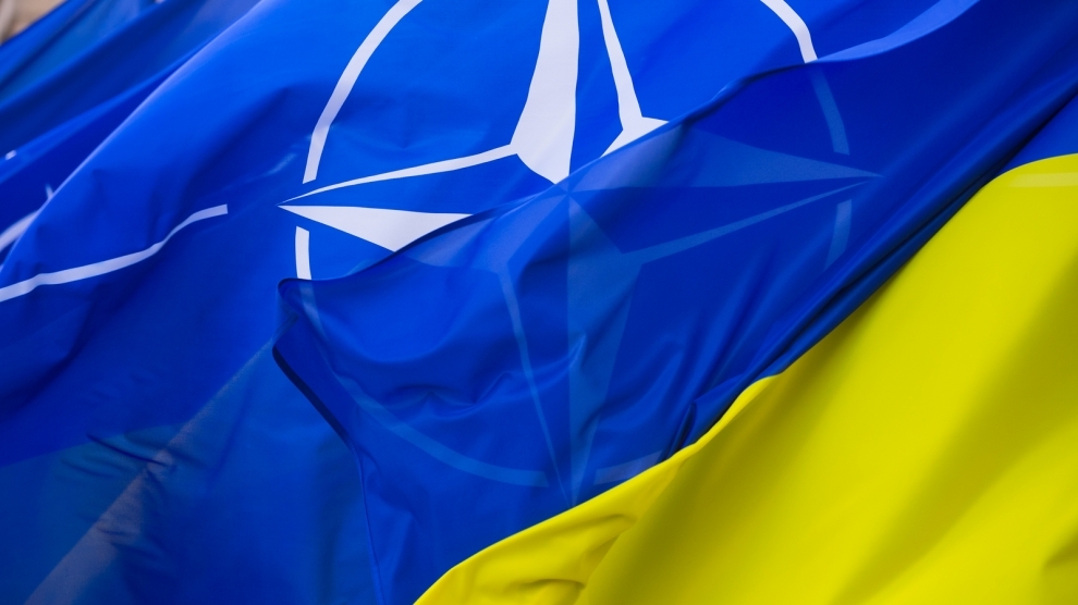Ambițiile euroatlantice ale Kievului sunt bine văzute de majoritatea statelor Alianței