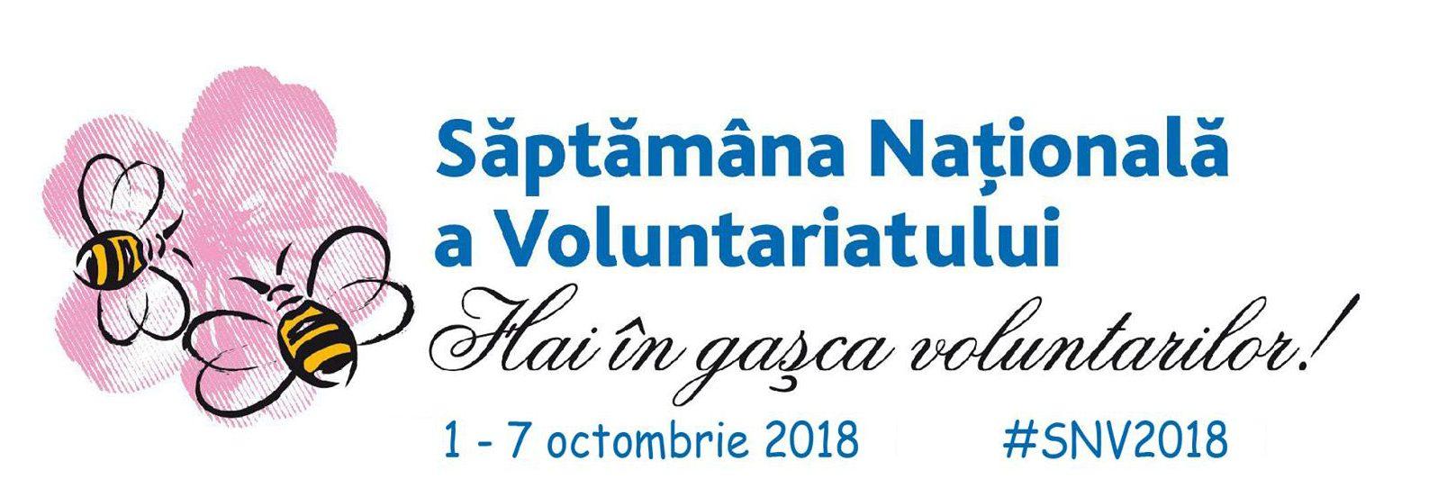 Republica Moldova a intrat în săptămâna voluntariatului. Silent Generation, voluntariat pentru tânără generație