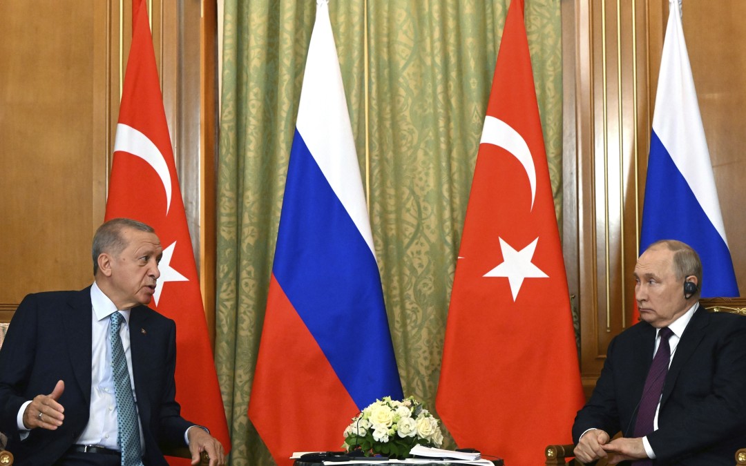 Турция в 2024 году: ядерные отношения с Российской Федерацией и роль гегемона на Ближнем Востоке